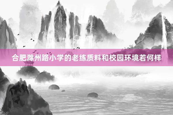 合肥滁州路小学的老练质料和校园环境若何样
