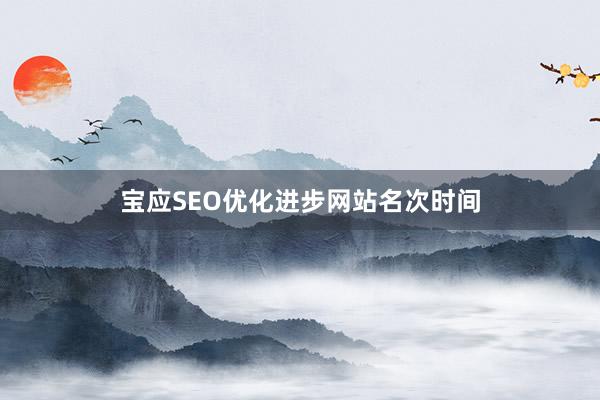 宝应SEO优化进步网站名次时间