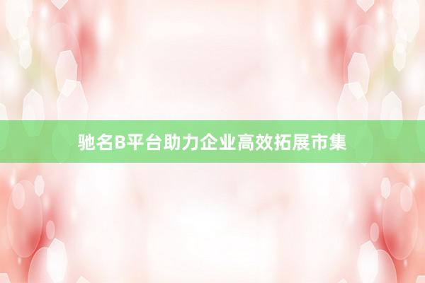 驰名B平台助力企业高效拓展市集