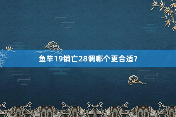 鱼竿19销亡28调哪个更合适？