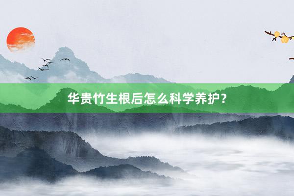 华贵竹生根后怎么科学养护？