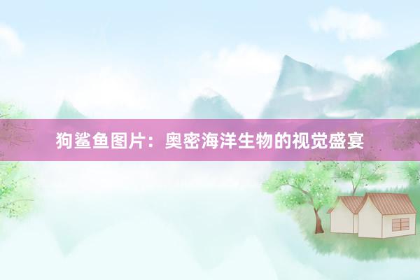 狗鲨鱼图片：奥密海洋生物的视觉盛宴