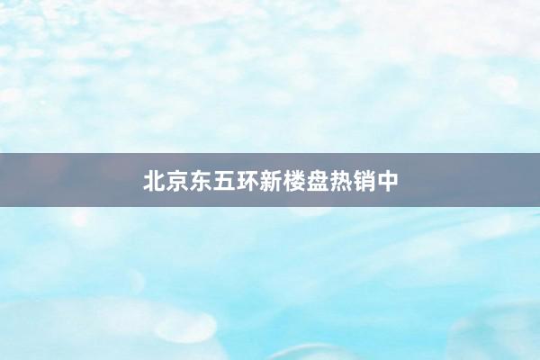 北京东五环新楼盘热销中